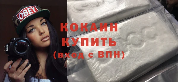 гидра Новозыбков