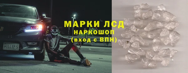 гидра Новозыбков