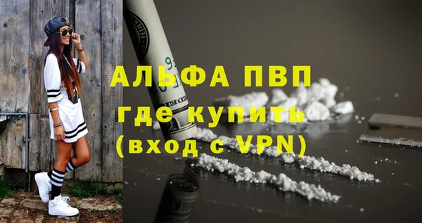 гидра Новозыбков