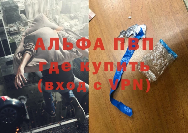 гидра Новозыбков