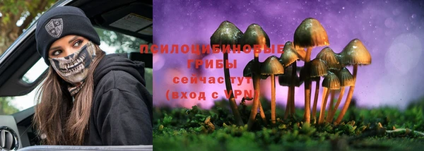 гидра Новозыбков