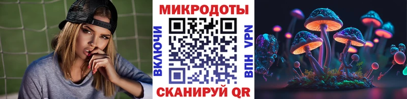 Псилоцибиновые грибы Psilocybe Ангарск