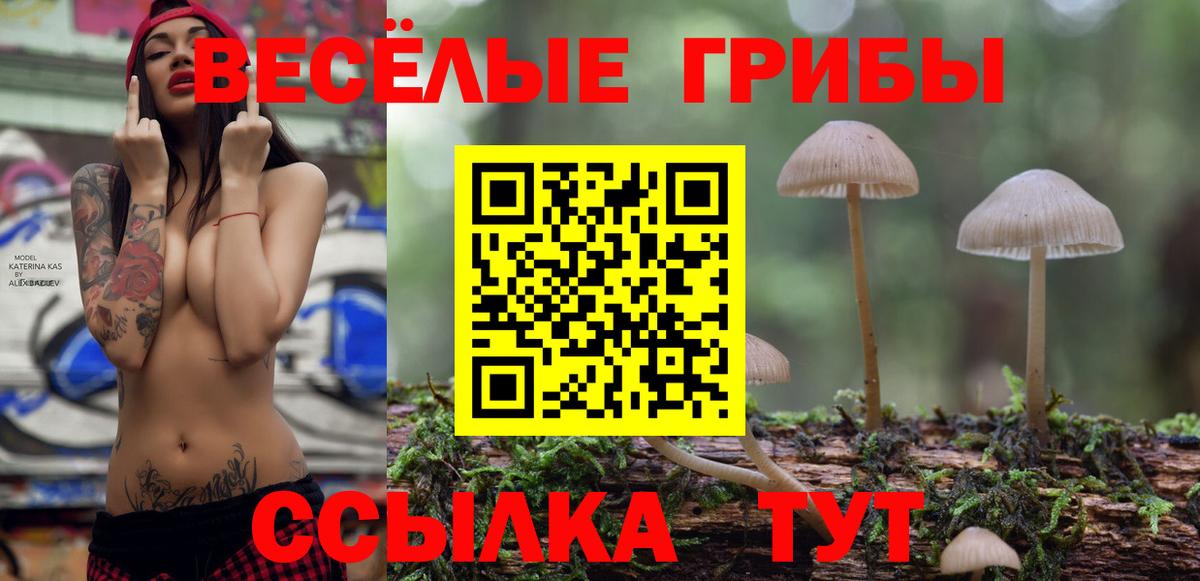 Псилоцибиновые грибы GOLDEN TEACHER  Вход с VPN  Псилоцибиновые грибы прущие грибы  Ангарск 
