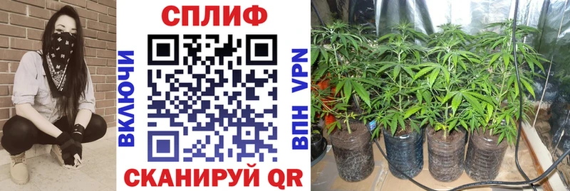 МАРИХУАНА OG Kush  Ангарск 